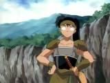 5. koga