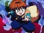 6. shippo