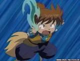 8. shippo